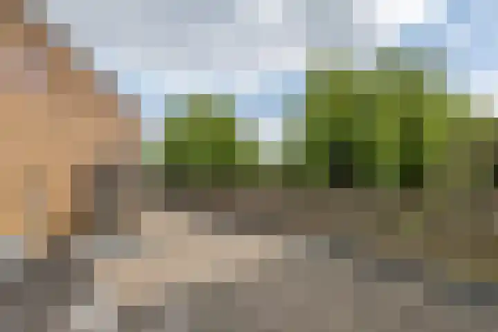 Oosterwal 52 Culemborg thumbnail 23