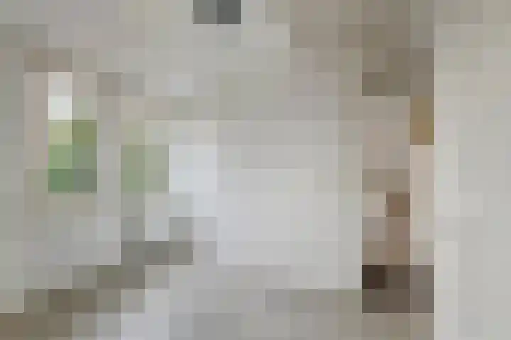Oosterwal 52 Culemborg thumbnail 32