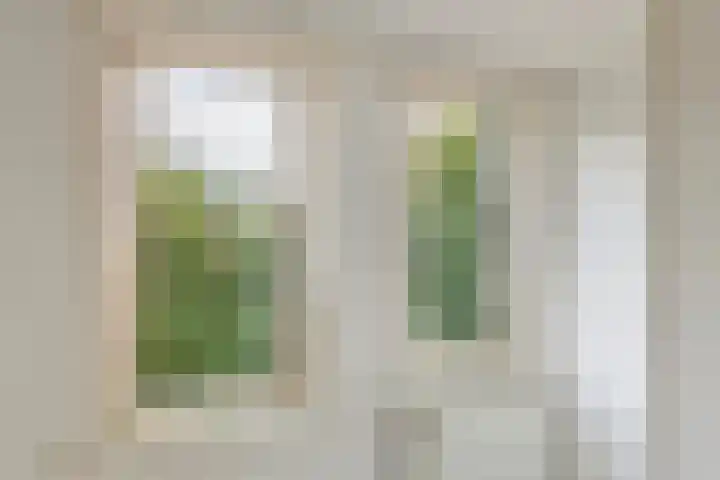 Oosterwal 52 Culemborg thumbnail 38