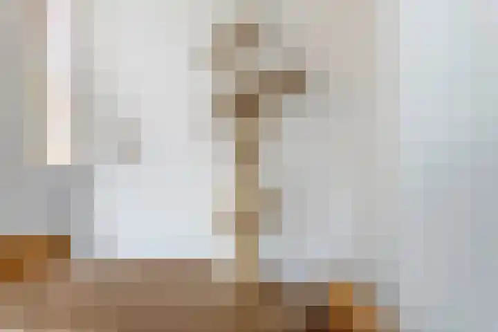 Oosterwal 52 Culemborg thumbnail 7
