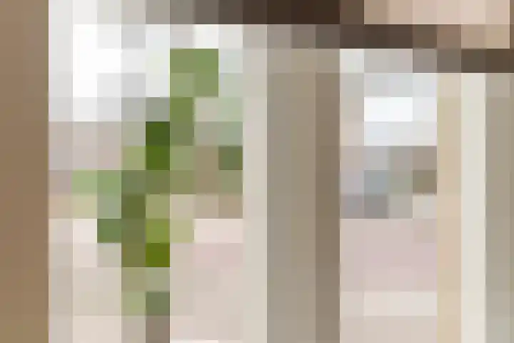 Oosterwal 54 Culemborg thumbnail 22