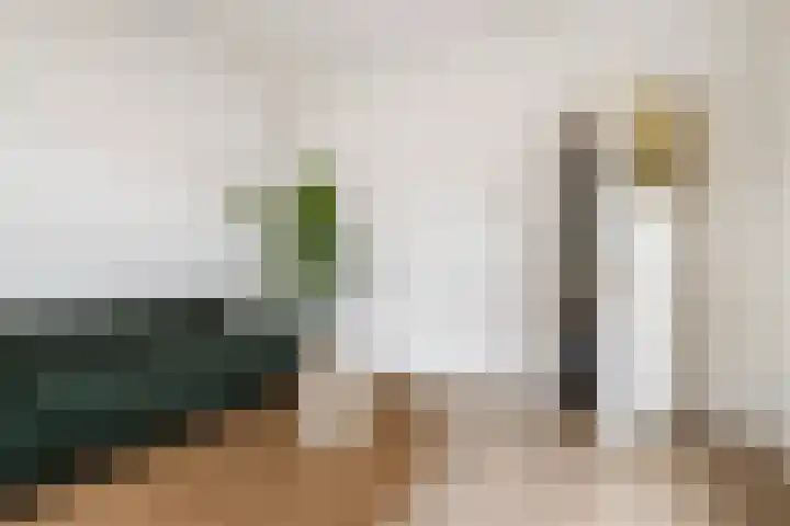 Oosterwal 54 Culemborg thumbnail 8
