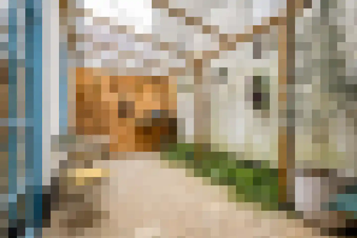 Oosterwalstraat 4 Elburg thumbnail 34