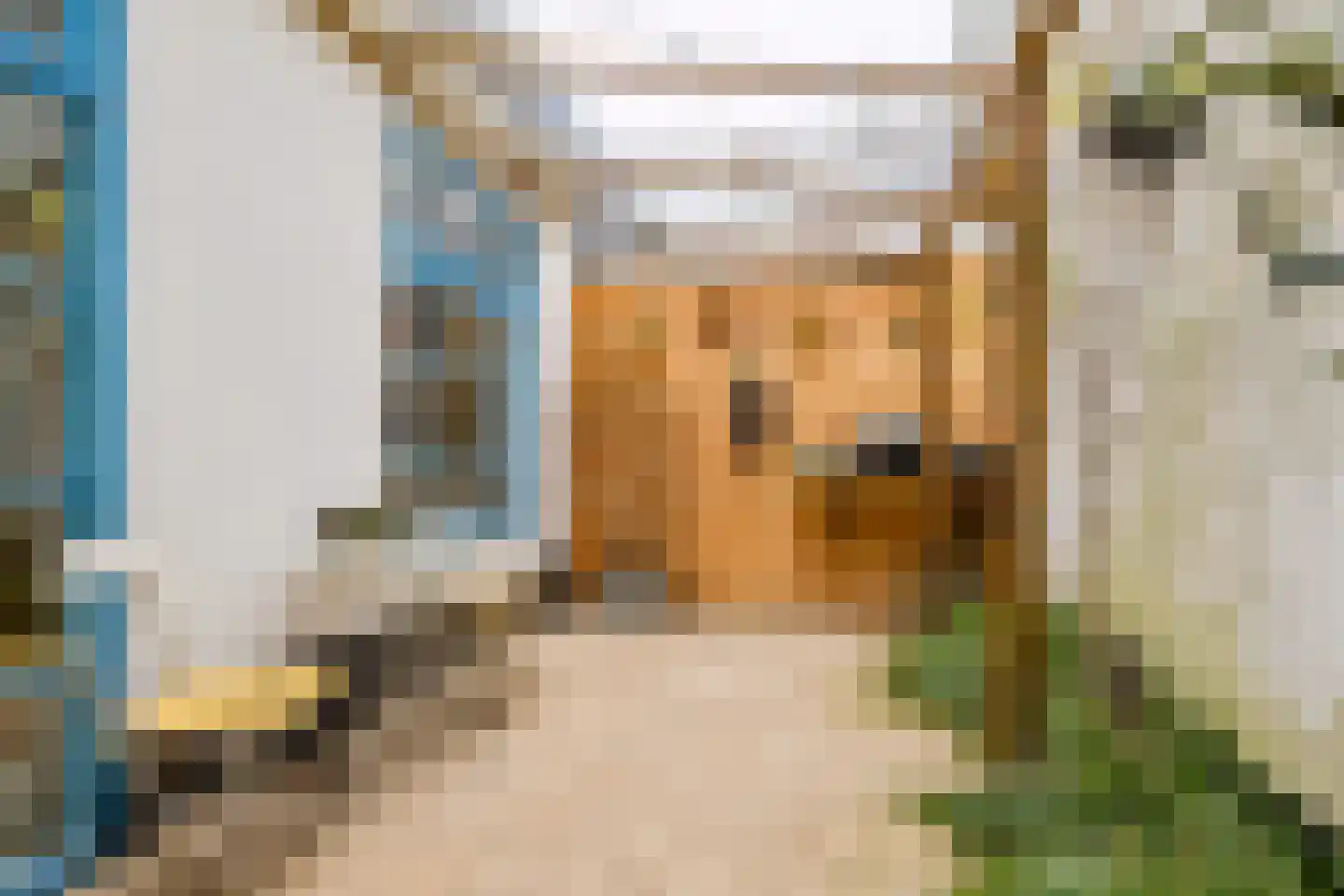 Oosterwalstraat 4 Elburg thumbnail 36