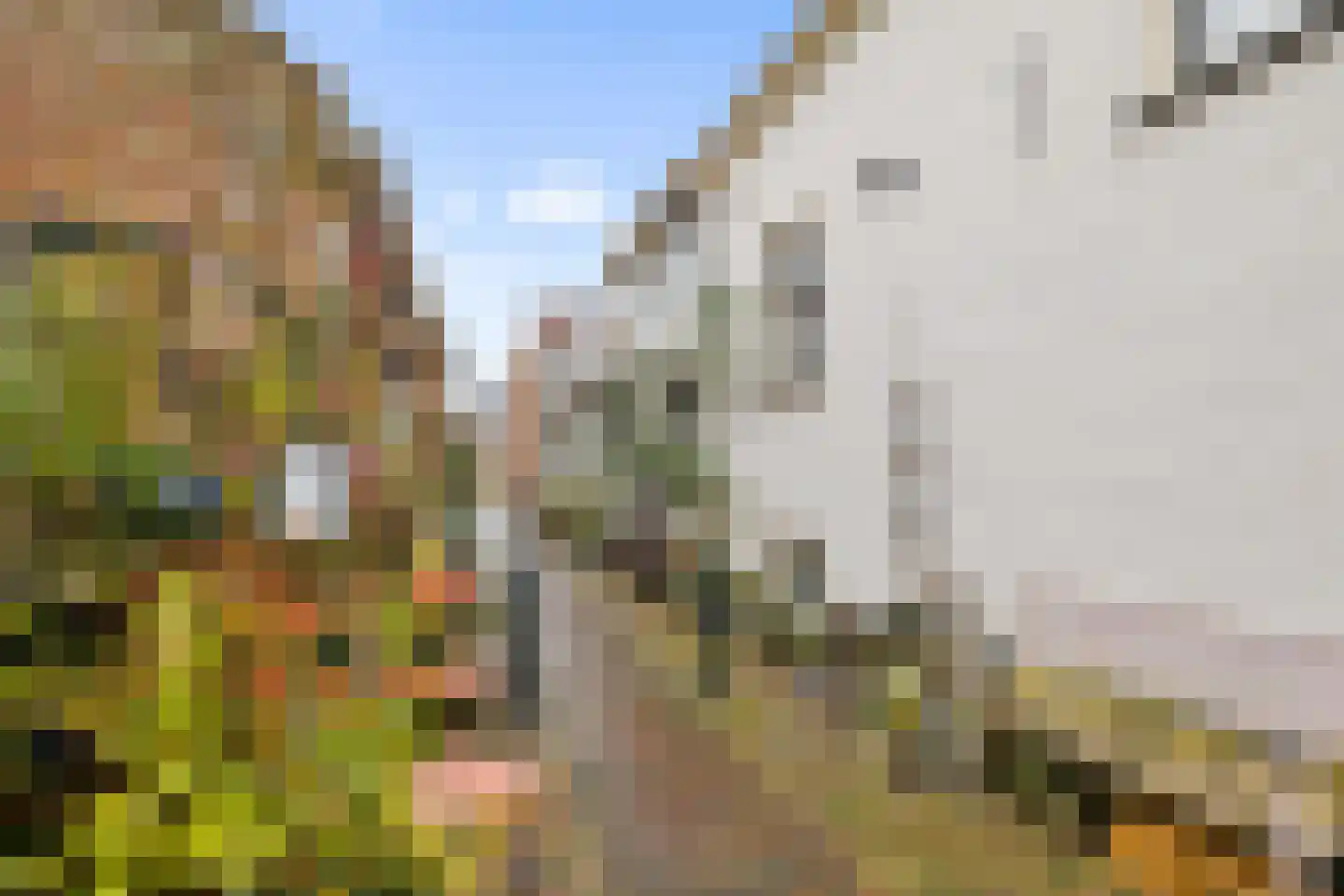 Oosterwalstraat 4 Elburg thumbnail 37