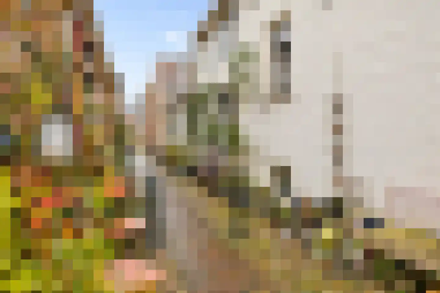 Oosterwalstraat 4 Elburg thumbnail 38