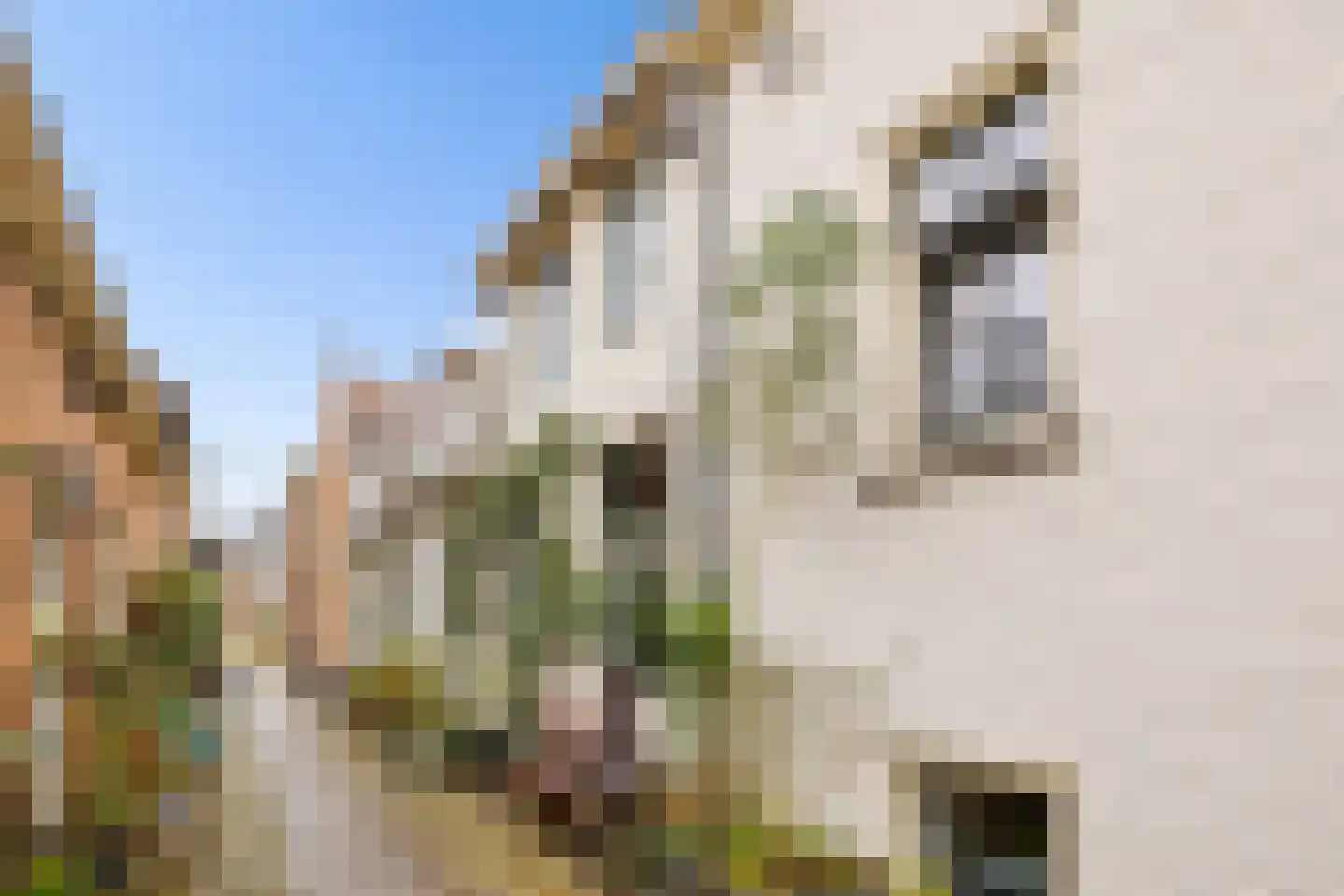 Oosterwalstraat 4 Elburg thumbnail 39