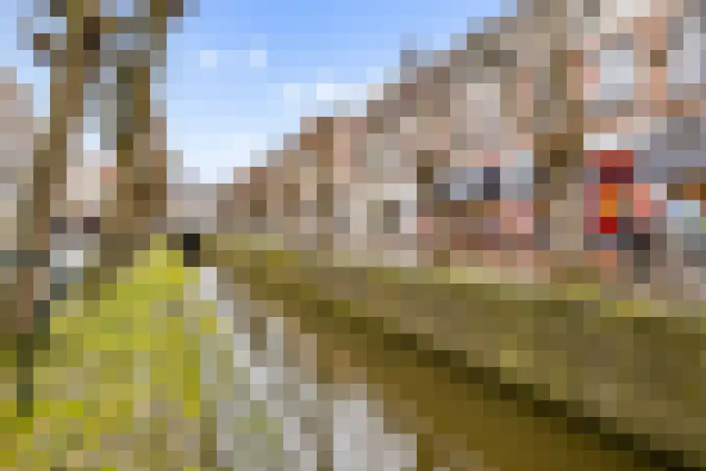 Oosterwalstraat 4 Elburg thumbnail 41