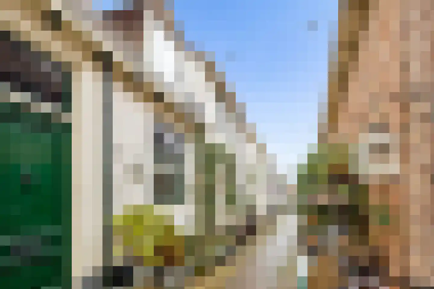 Oosterwalstraat 4 Elburg thumbnail 5