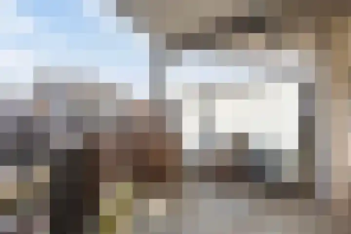 Oosterweezenstraat 313 Alkmaar thumbnail 6