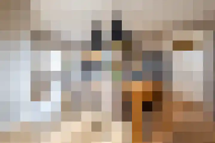 Oosterweg 1 Beerzerveld thumbnail 17