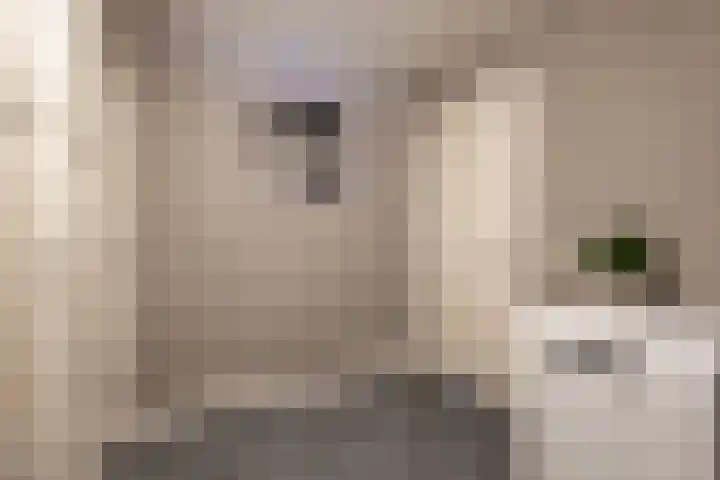 Oosterweg 1 Beerzerveld thumbnail 23