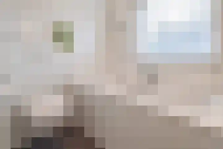 Oosterweg 1 Beerzerveld thumbnail 27