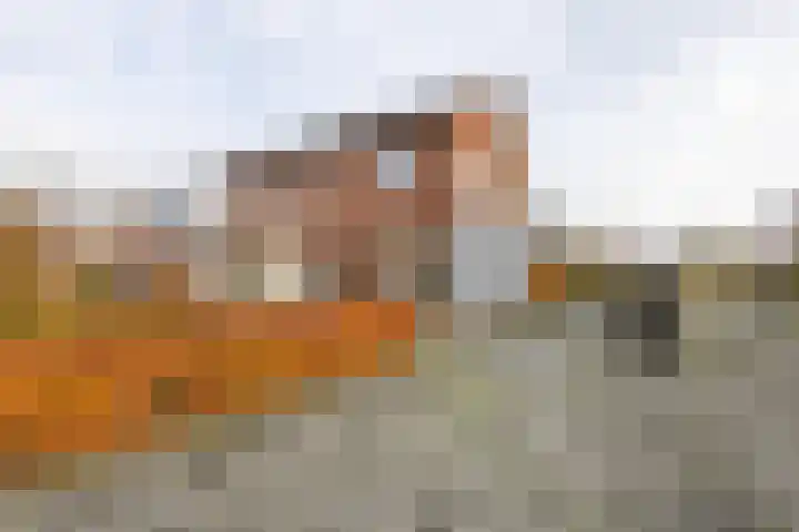 Oosterweg 1 Beerzerveld thumbnail 29