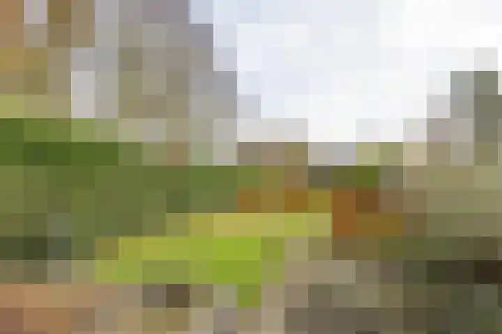 Oosterweg 1 Beerzerveld thumbnail 38