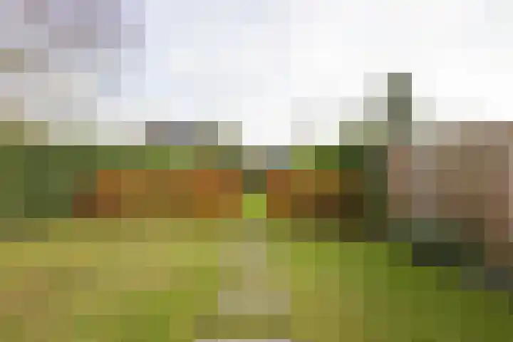 Oosterweg 1 Beerzerveld thumbnail 39