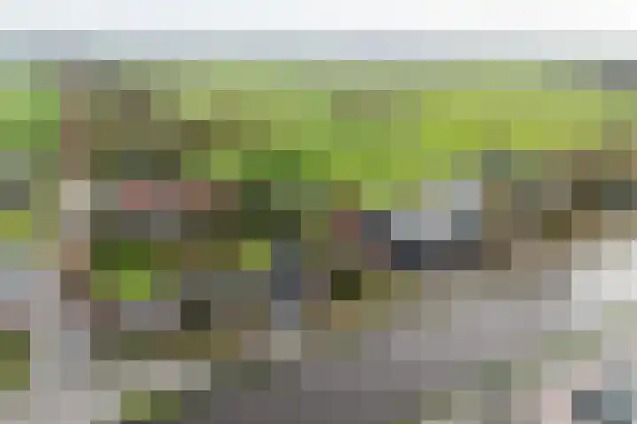 Oosterweg 1 Beerzerveld thumbnail 4
