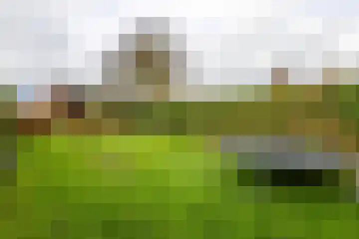 Oosterweg 1 Beerzerveld thumbnail 40