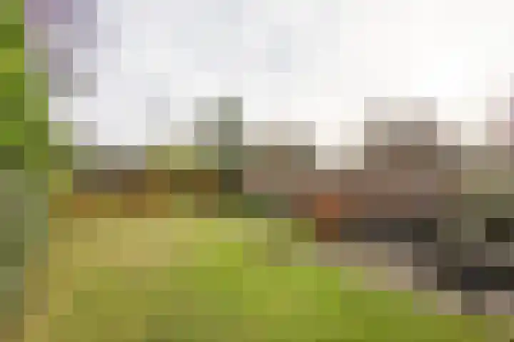 Oosterweg 1 Beerzerveld thumbnail 41