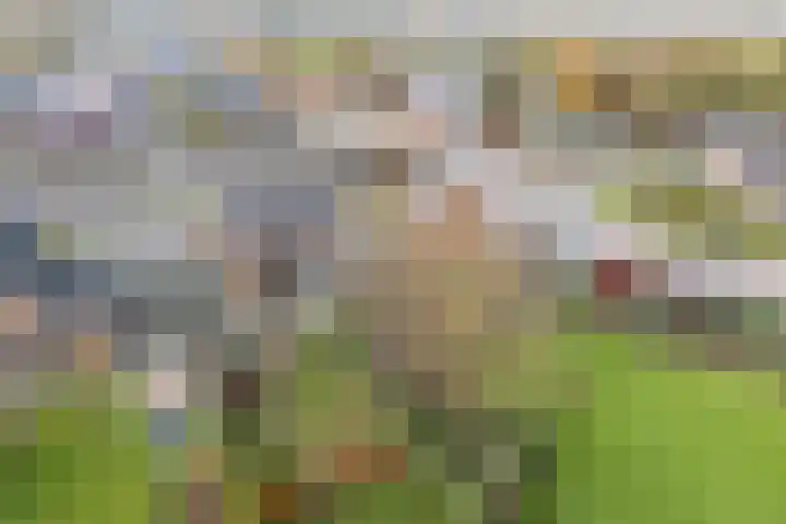 Oosterweg 1 Beerzerveld thumbnail 42