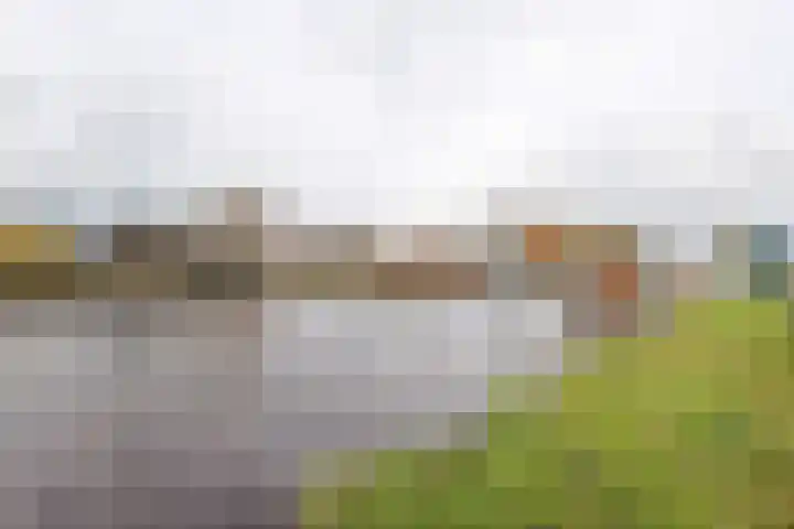Oosterweg 1 Beerzerveld thumbnail 44