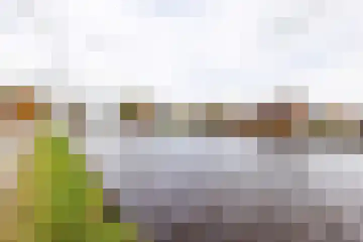 Oosterweg 1 Beerzerveld thumbnail 46