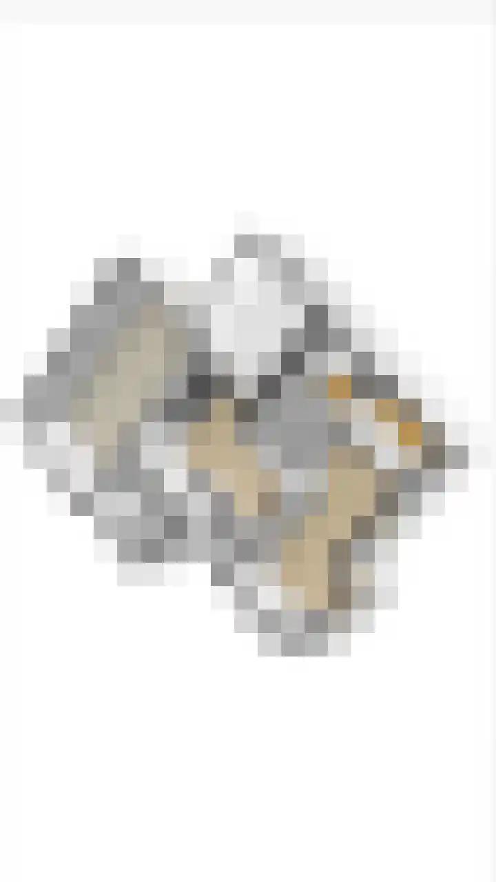 Oosterweg 1 Beerzerveld thumbnail 48