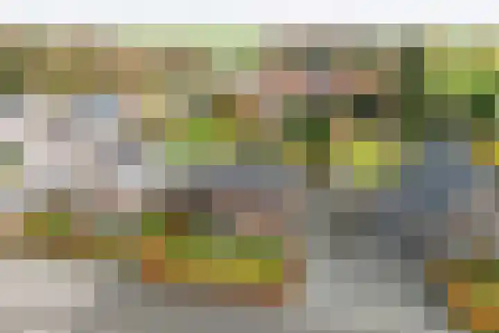 Oosterweg 1 Beerzerveld thumbnail 5