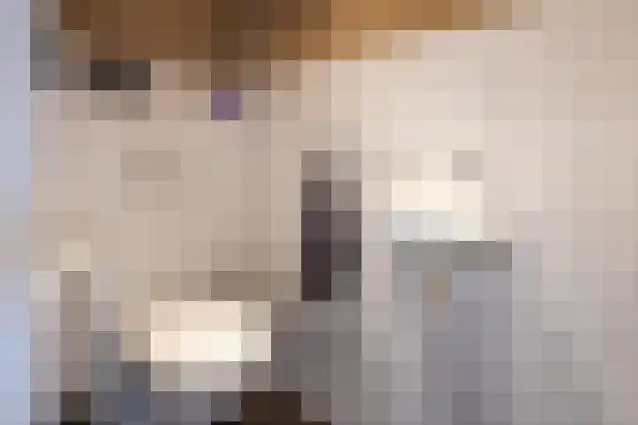 Oosterweg 1 Beerzerveld thumbnail 8