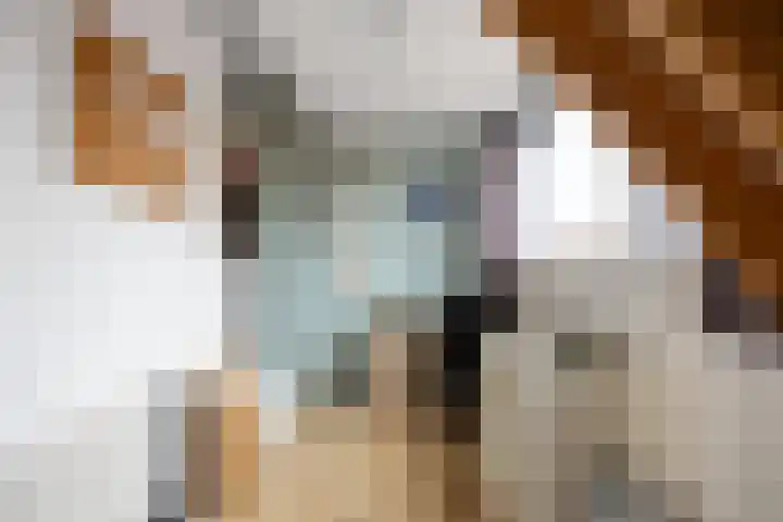 Oosterweg 1 Den Andel thumbnail 29