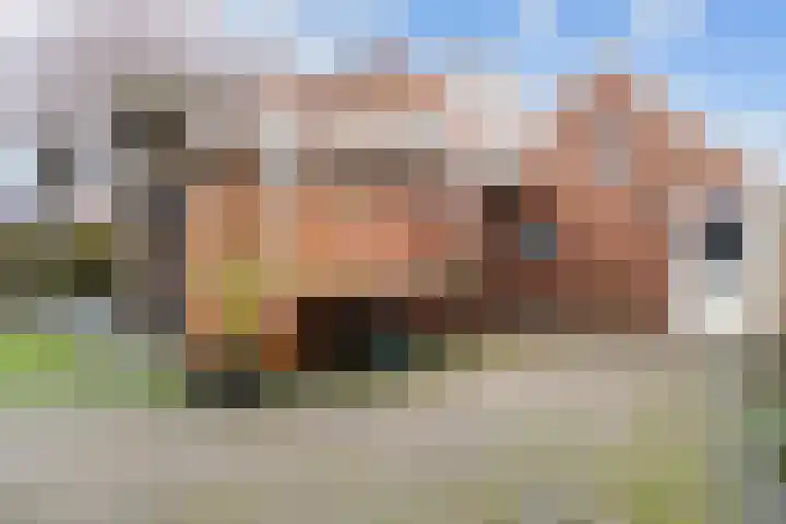 Oosterweg 1 Den Andel thumbnail 41
