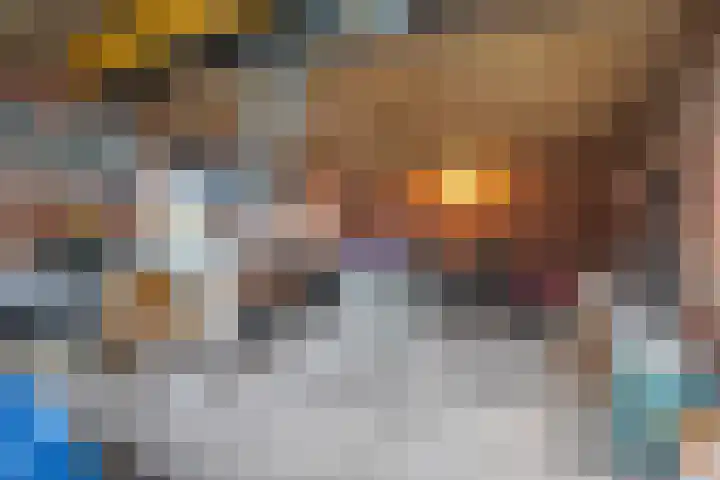 Oosterweg 1 Den Andel thumbnail 42