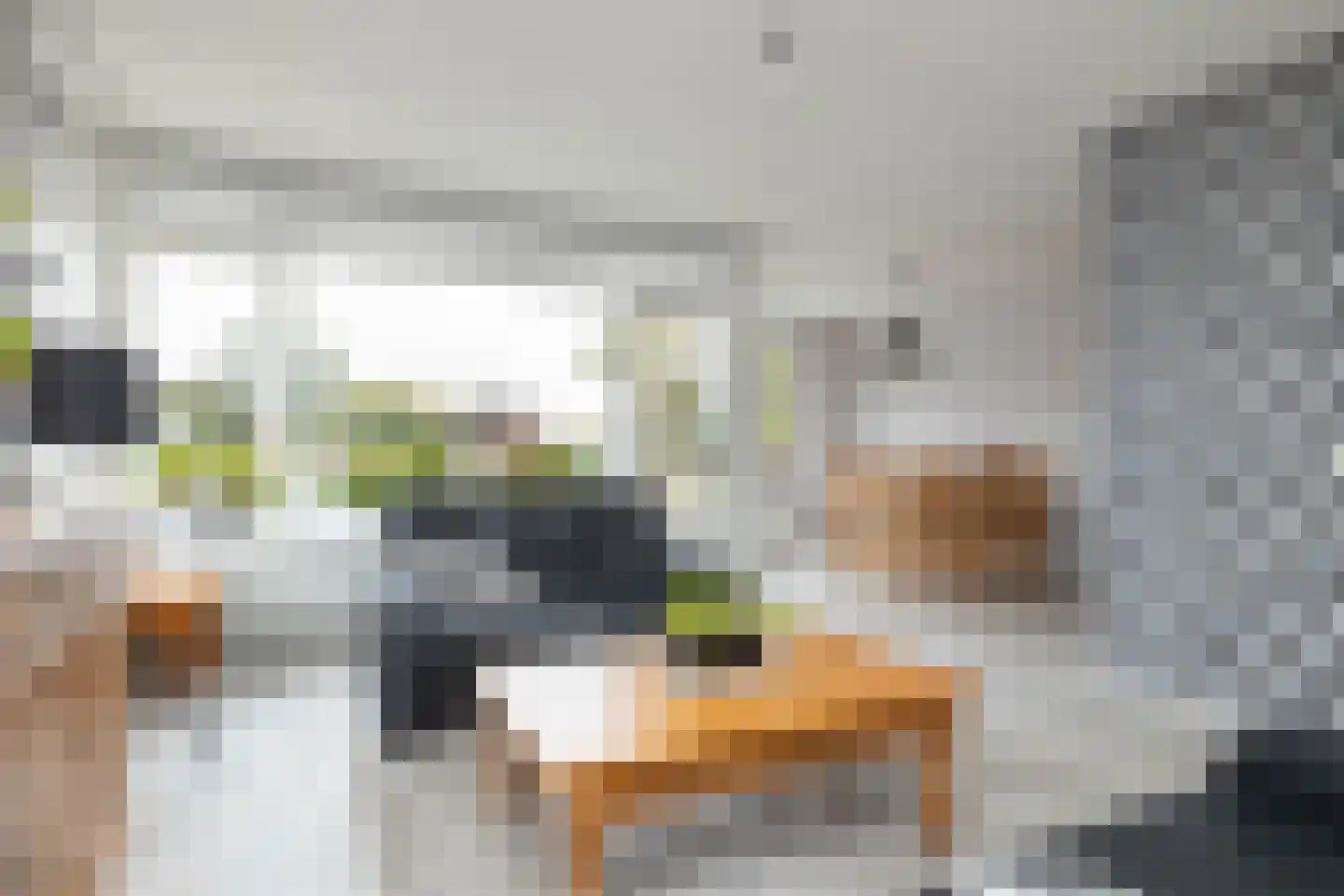Oosterweg 1 h Zuidwolde thumbnail 11
