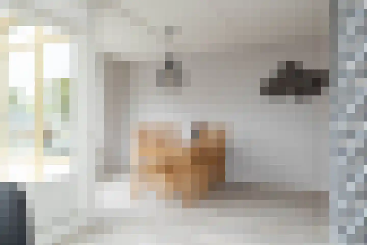 Oosterweg 1 h Zuidwolde thumbnail 17