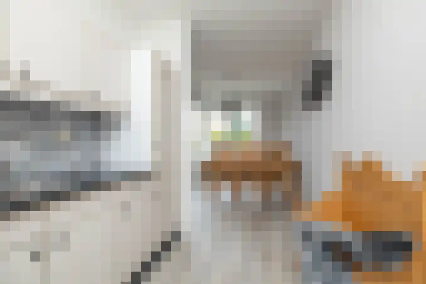 Oosterweg 1 h Zuidwolde thumbnail 22