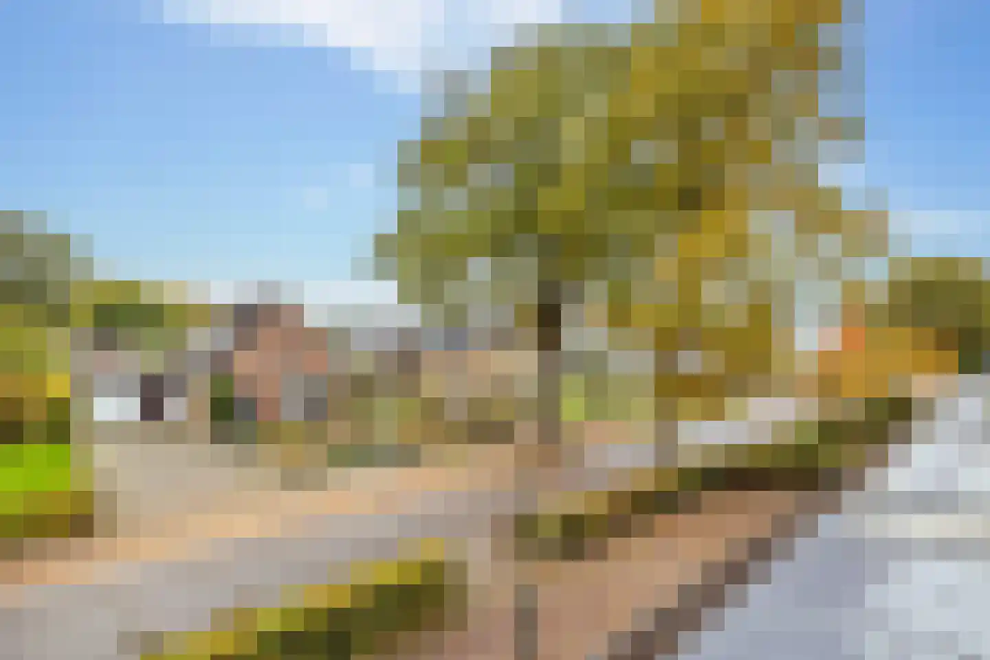 Oosterweg 1 h Zuidwolde thumbnail 26