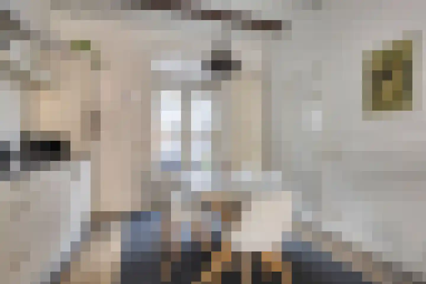 Oosterweg 101 Groningen thumbnail 14