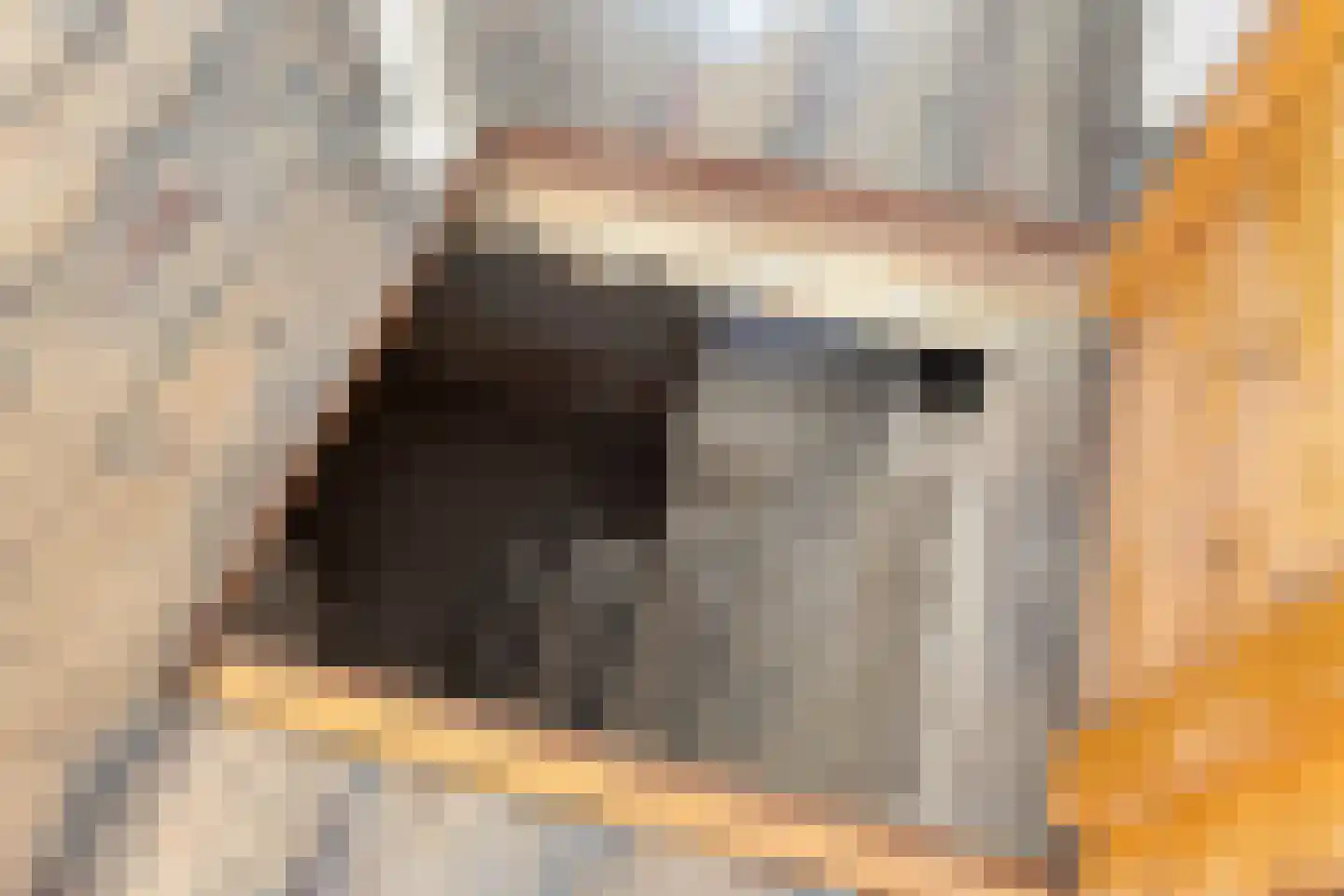 Oosterweg 101 Groningen thumbnail 20