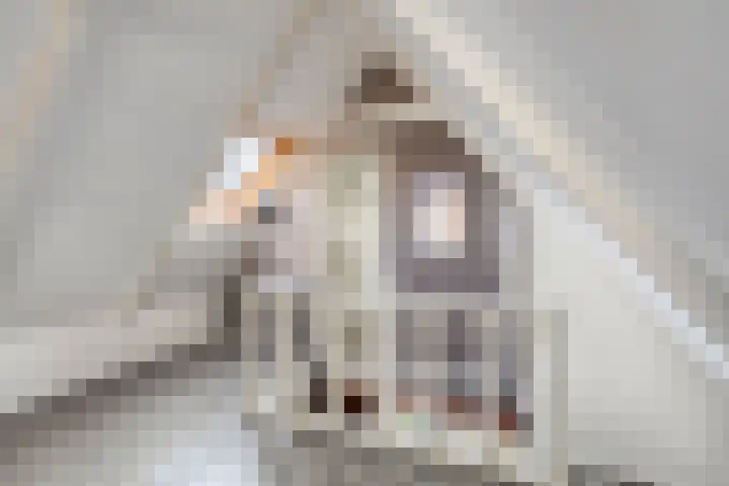 Oosterweg 101 Groningen thumbnail 25