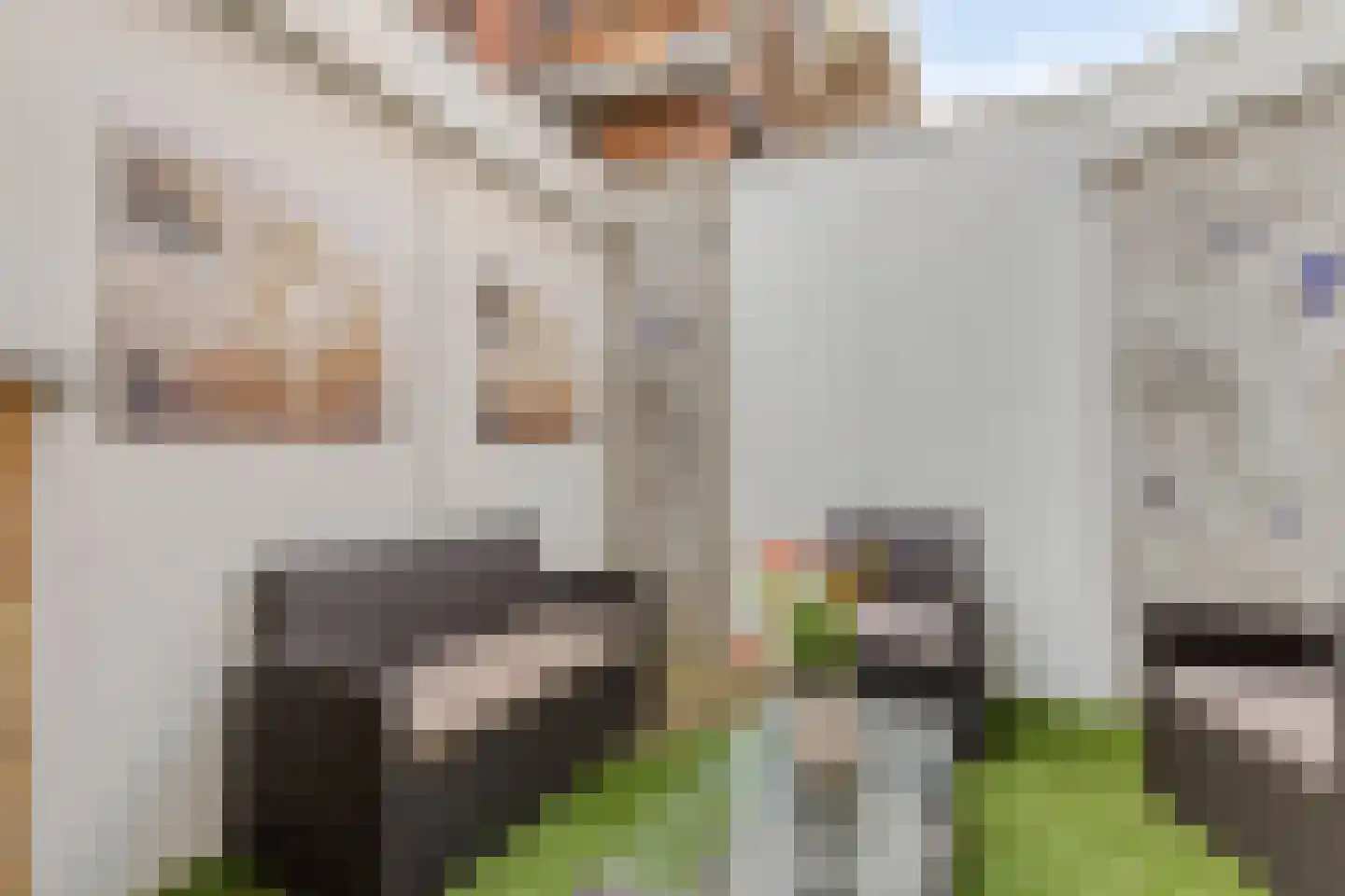 Oosterweg 101 Groningen thumbnail 5