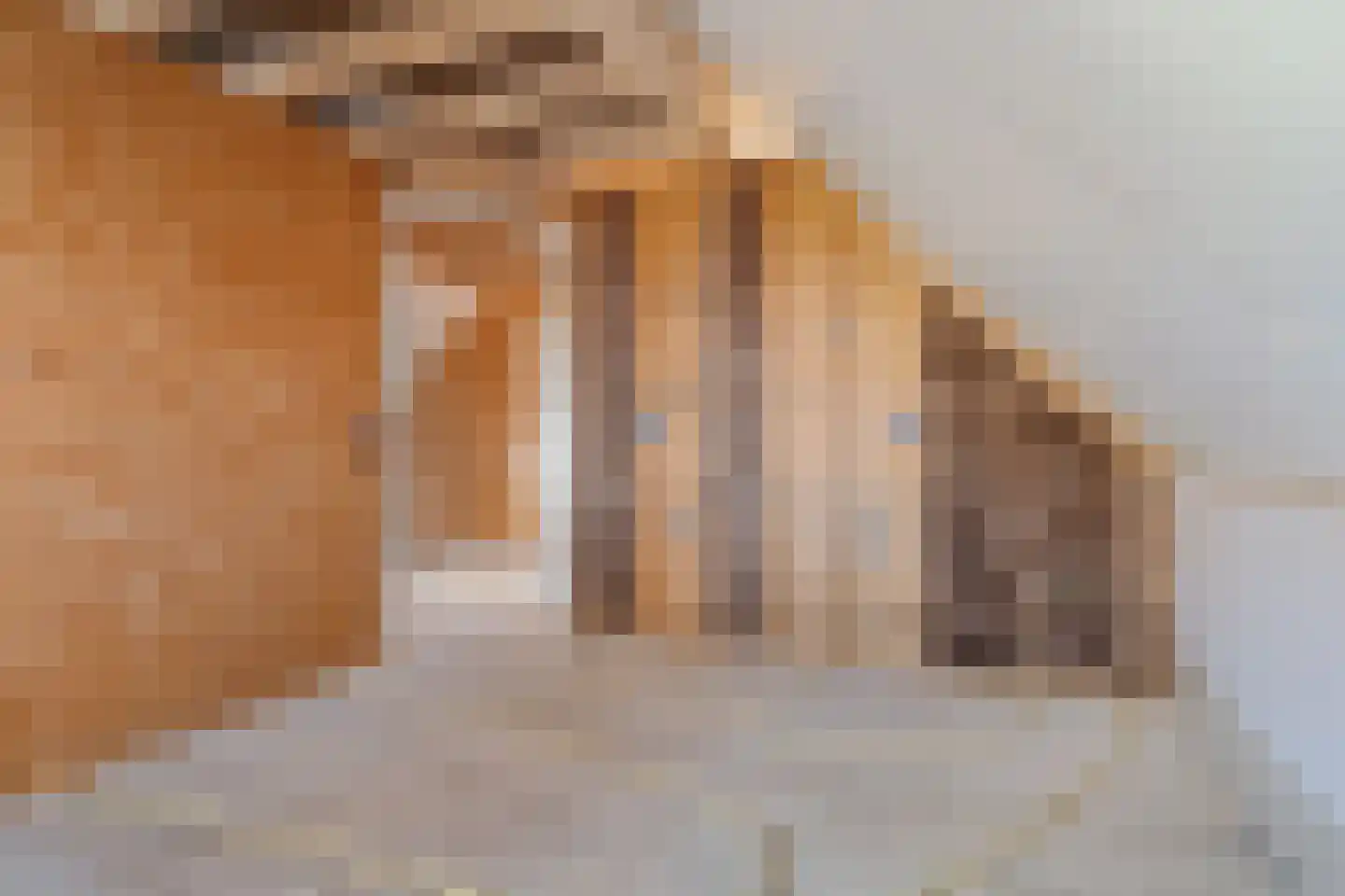 Oosterweg 12 Muntendam thumbnail 25