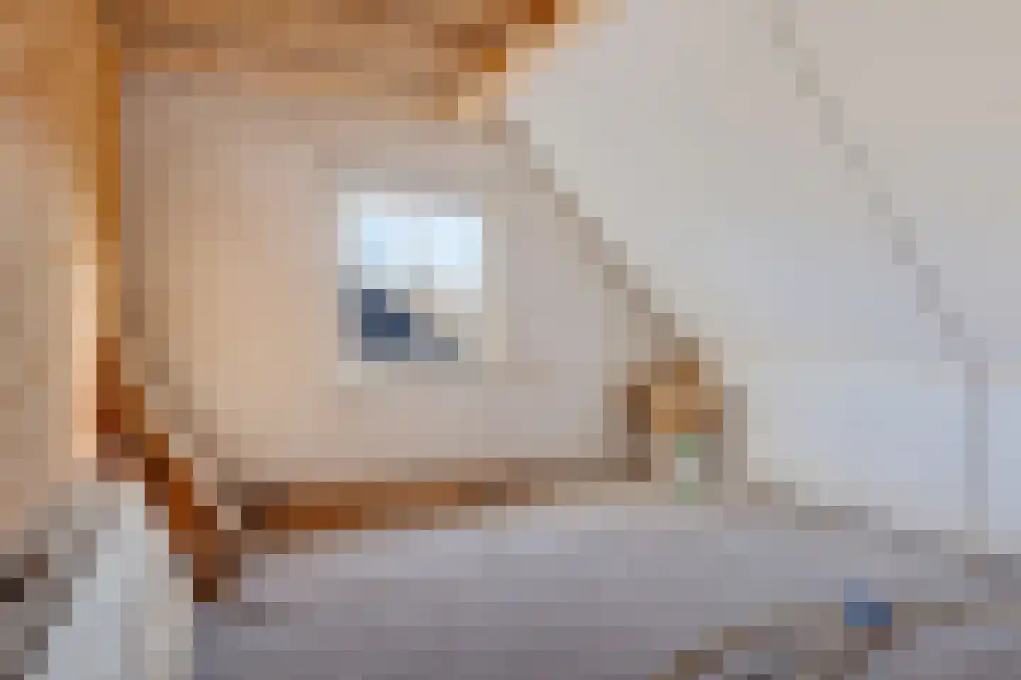 Oosterweg 12 Muntendam thumbnail 26
