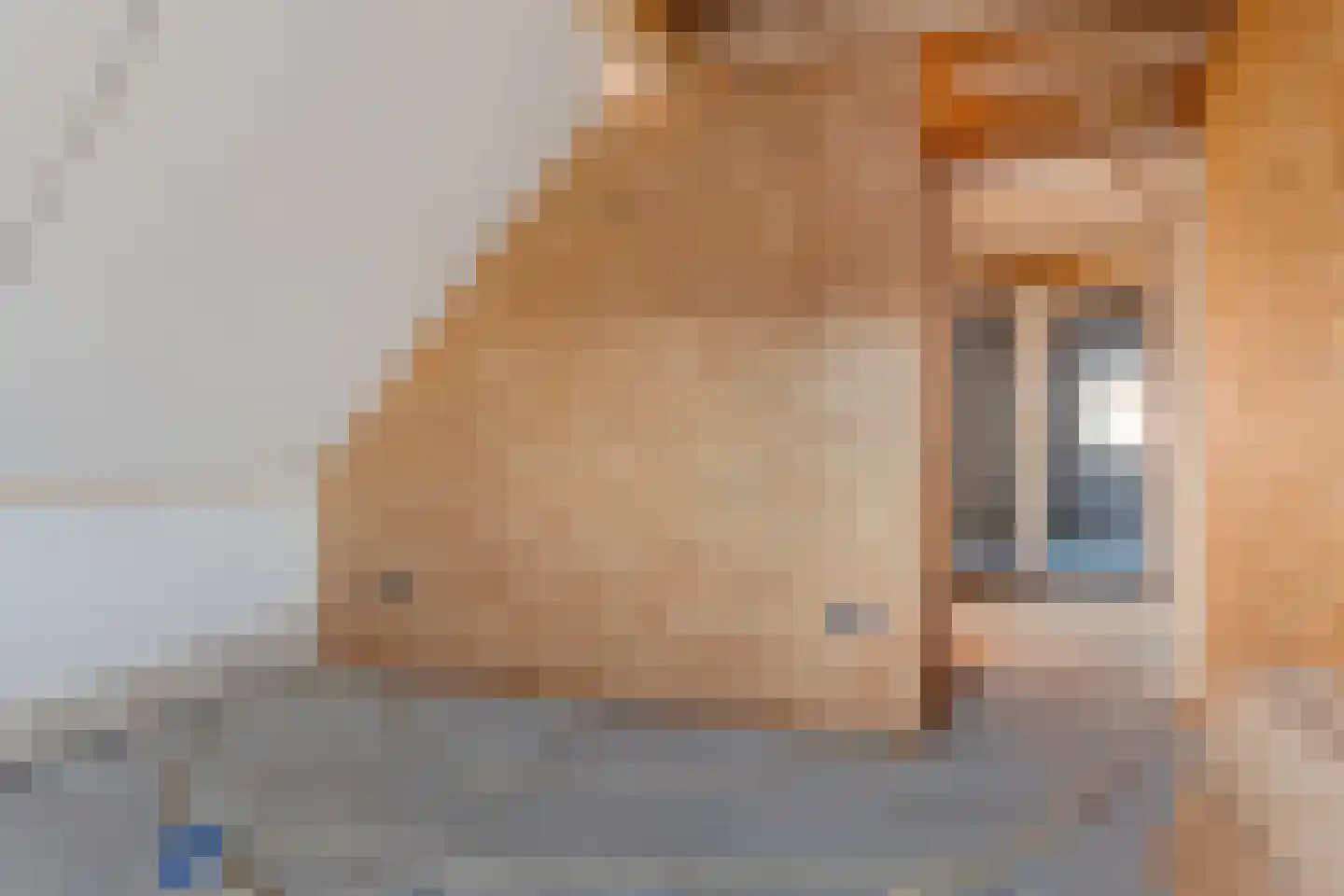 Oosterweg 12 Muntendam thumbnail 32