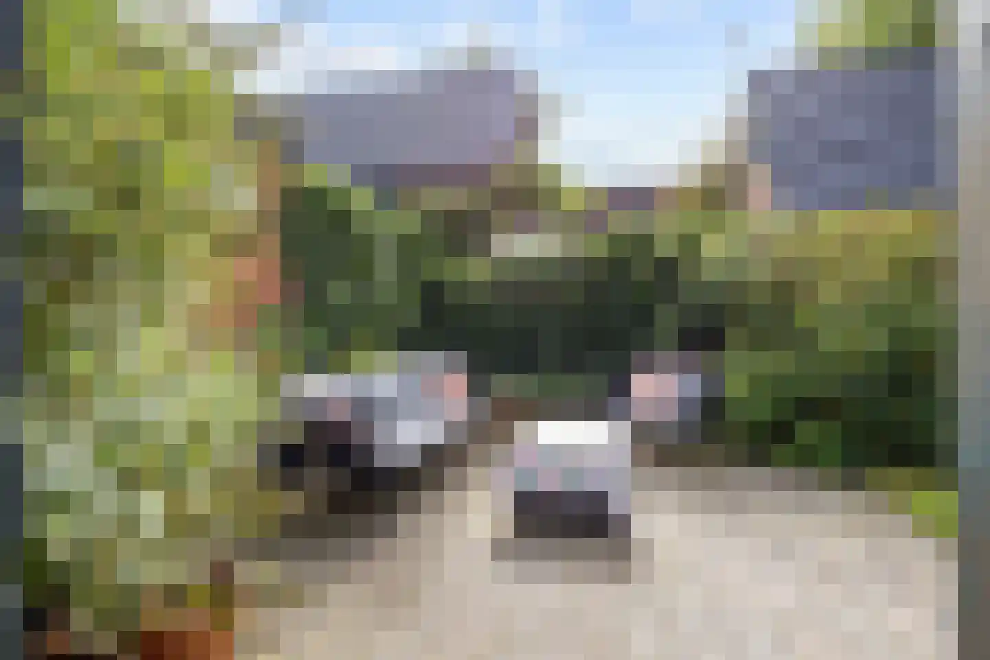Oosterweg 12 Noordhorn thumbnail 54