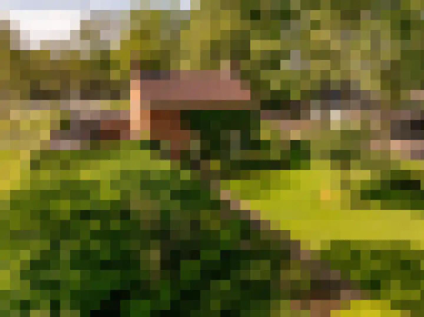 Oosterweg 12 Zuidwolde thumbnail 41