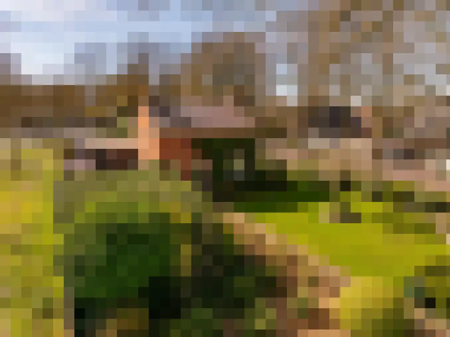 Oosterweg 12 Zuidwolde thumbnail 41