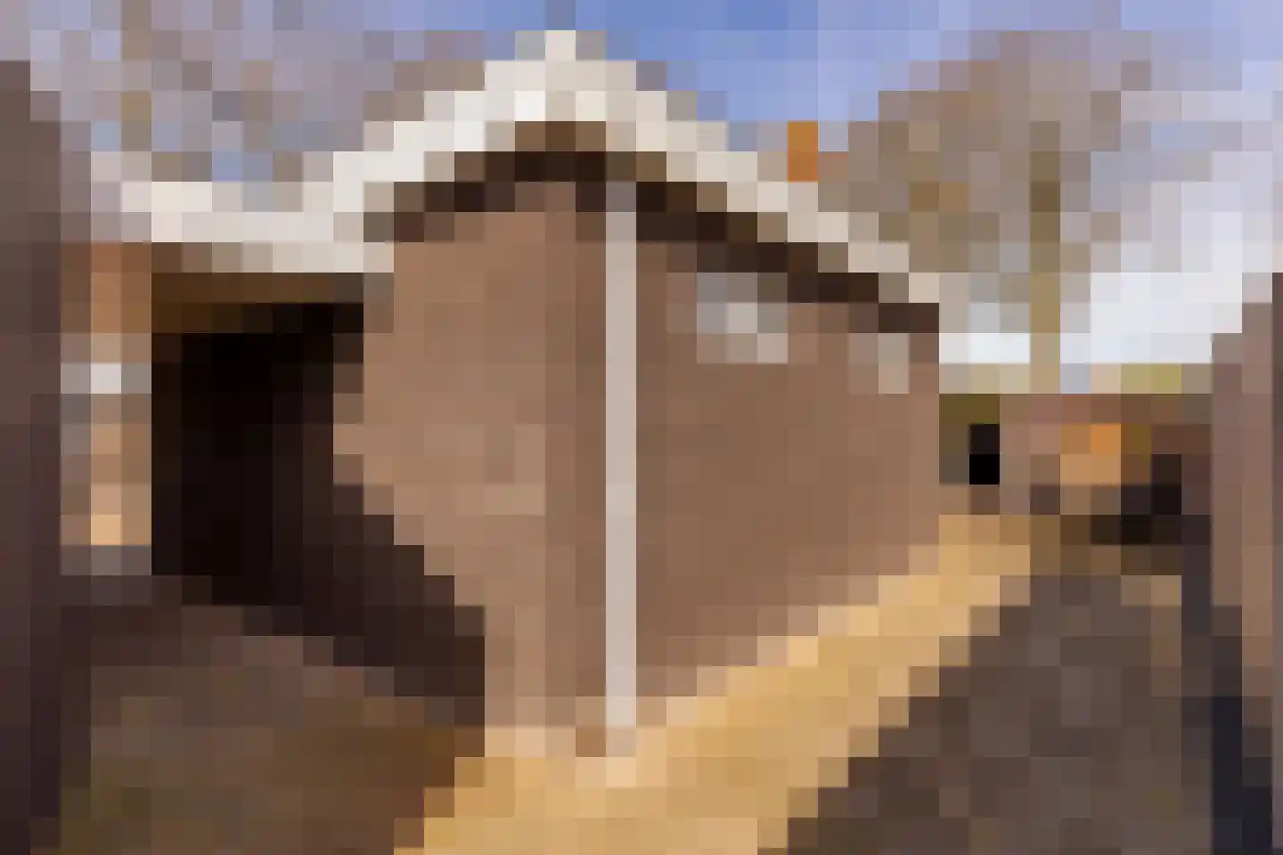 Oosterweg 12 Zuidwolde thumbnail 48