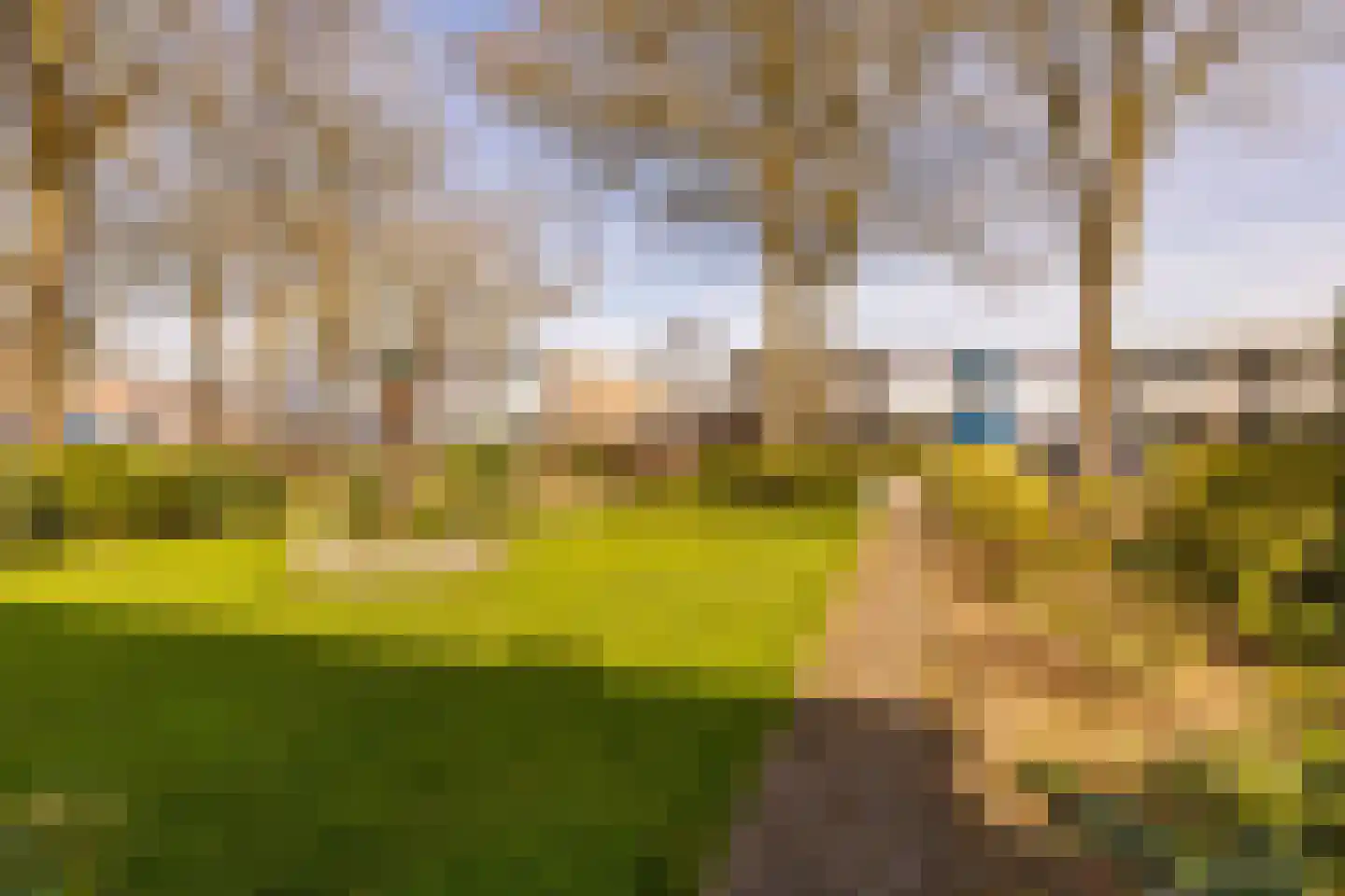 Oosterweg 12 Zuidwolde thumbnail 52