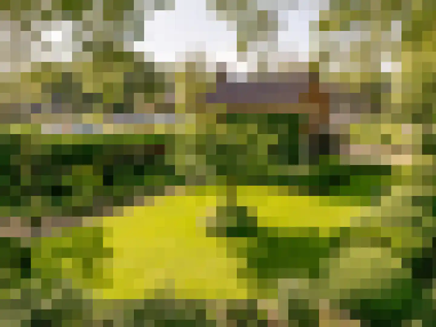 Oosterweg 12 Zuidwolde thumbnail 53