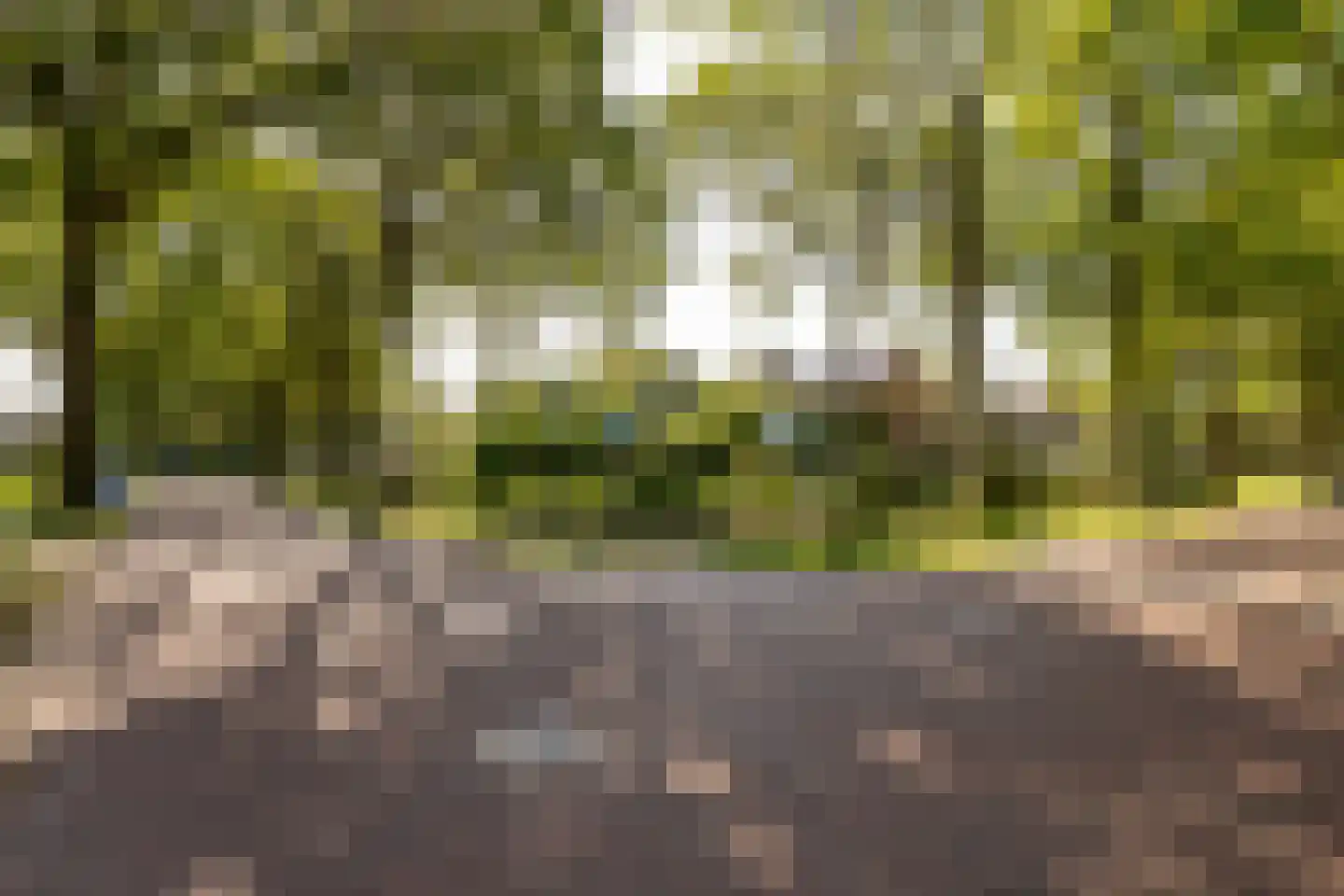 Oosterweg 12 Zuidwolde thumbnail 57
